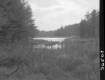 Trees Surrounding Lake