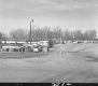 Cars in Lot