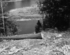 Clearing along a river