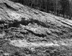 Churned Up Ground