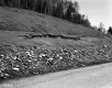 Dirt Road and Rock Slope