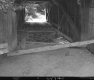 Damaged Covered Bridge