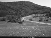 Curve in Paved Road