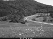 Curve in Paved Road