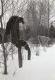 Winter clothes hanging on a tree