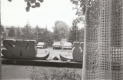 Ski decorations in a window overlooking cars and a building