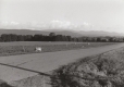 A road with a cow pasture and mountain range in the background