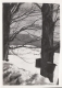 Sap Buckets in Winter