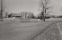 Ski Tracks through Murphy's Field