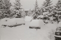 Snow Buried Cars in a Parking Lot