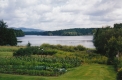 Gardens and Sculler in Summer