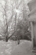 COC Front Office Side View in Winter