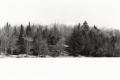 Winter Pond and Cabin Scene
