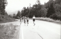 A group of runners on a paved road