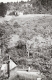 Forest Scene and Runner from a Distance