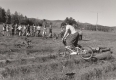 Bicycle log hop