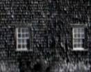 Sash Windows