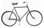 Standard Bicycle