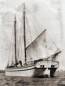 Schooners