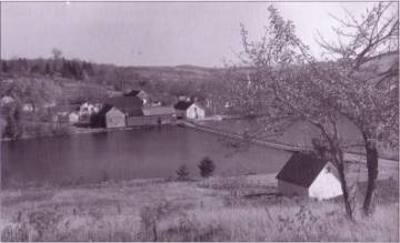 Floating Bridge in Brookfield