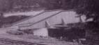 Open Timber Truss