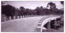 Cable Railings