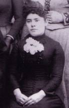 1880s Sleeves
