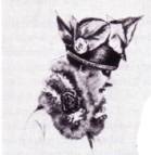 Lat 1910s Small Hat