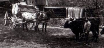 Late 19<sup>th</sup> Century Farmers