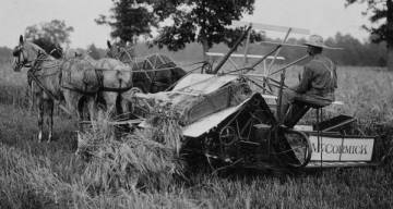 Early 20<sup>th</sup> Century Farmer