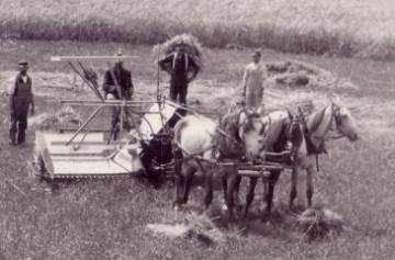 Early 20<sup>th</sup> Century Farmers