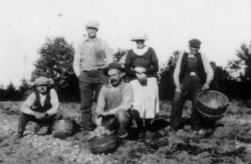 1920s-1930s Farmers