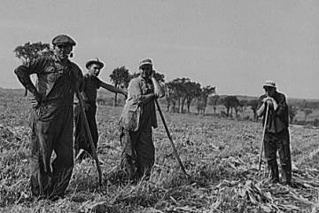 1940s Farmer