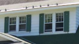 Colonial Revival Window