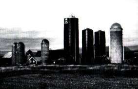 Concrete Stave Silos