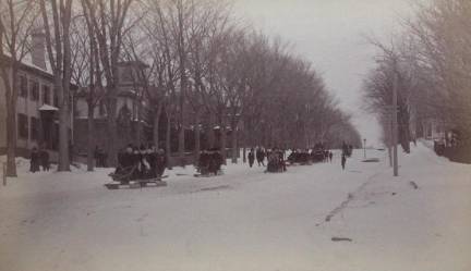 Winter Carnival Coasting
