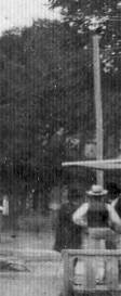 1870s-1880s Telephone Poles