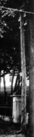 1870s-1880s Telephone Poles
