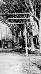1880s-1900s Telephone Poles